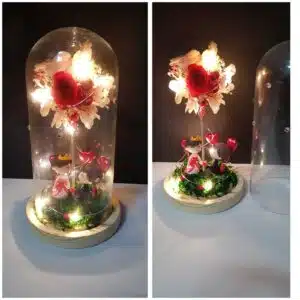 cupula de cristal