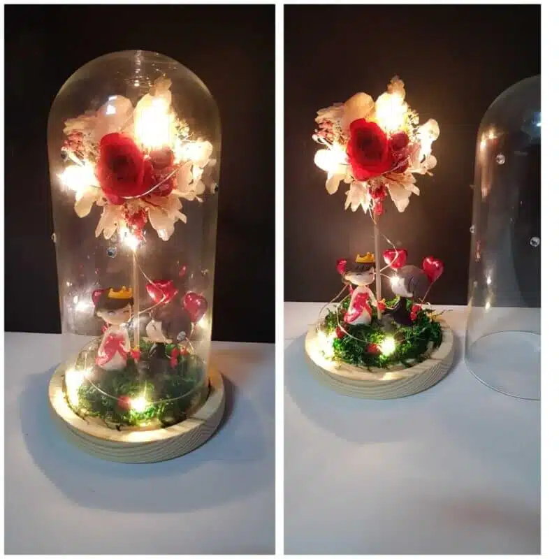 cupula de cristal