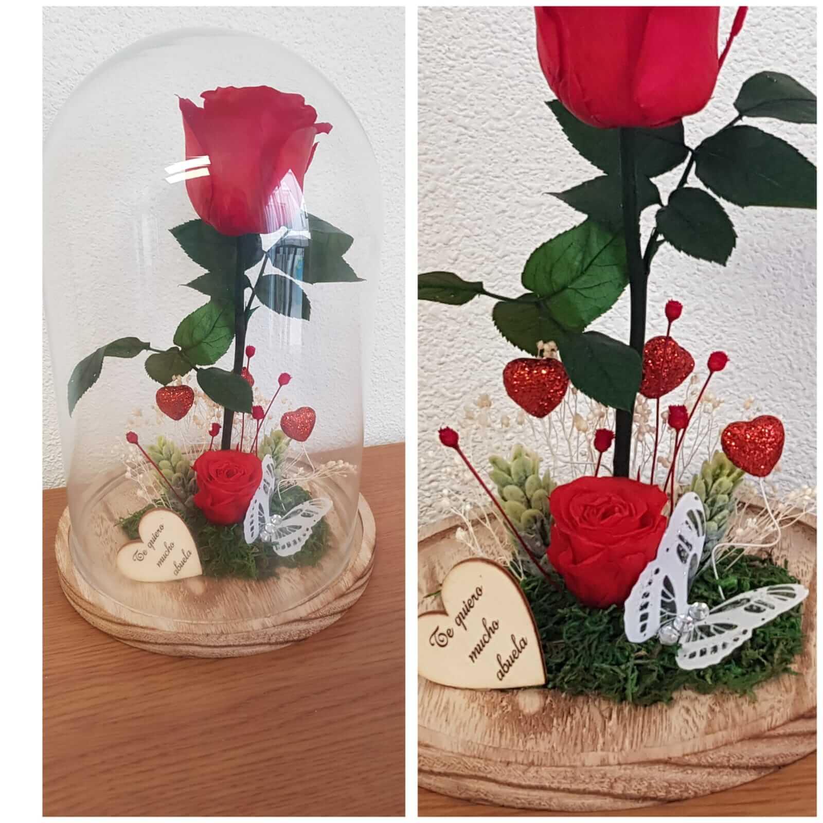 Cupula de cristal con rosa preservada