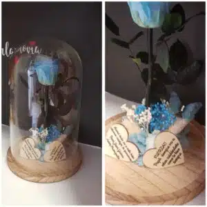 Cupula de cristal con rosa preservada