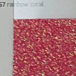 G0067 rainbow coral