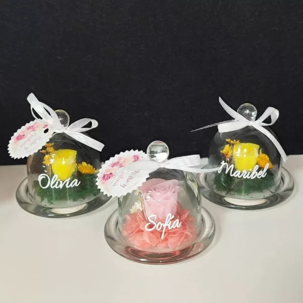 Mini cúpula de cristal con rosa preservada y nombre personalizado en vinilo